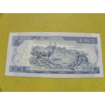 bankovka  5 birr - 2009-2017