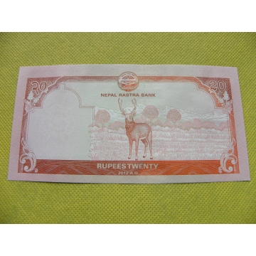 bankovka 20 rupees 2012