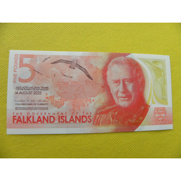 bankovka 5  pounds...