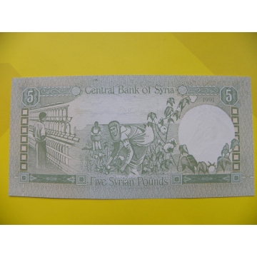 bankovka 5 Syrských liber 1991